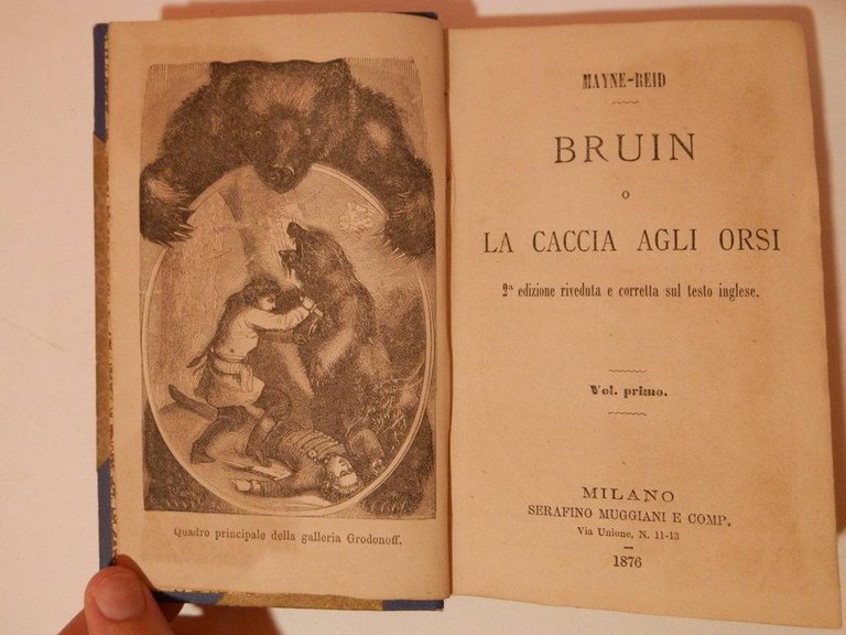 Bruin o la caccia agli orsi