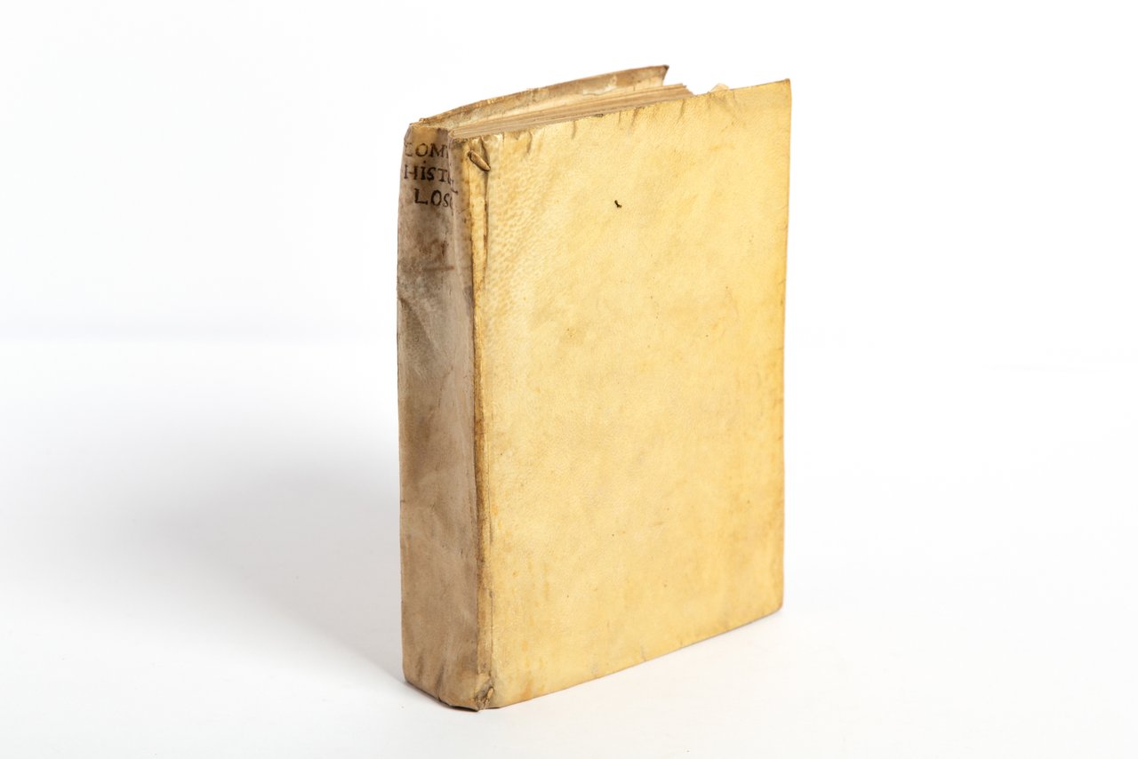 Compendi historici del sig. conte Alfonso Loschi cavalier vicentino; in …