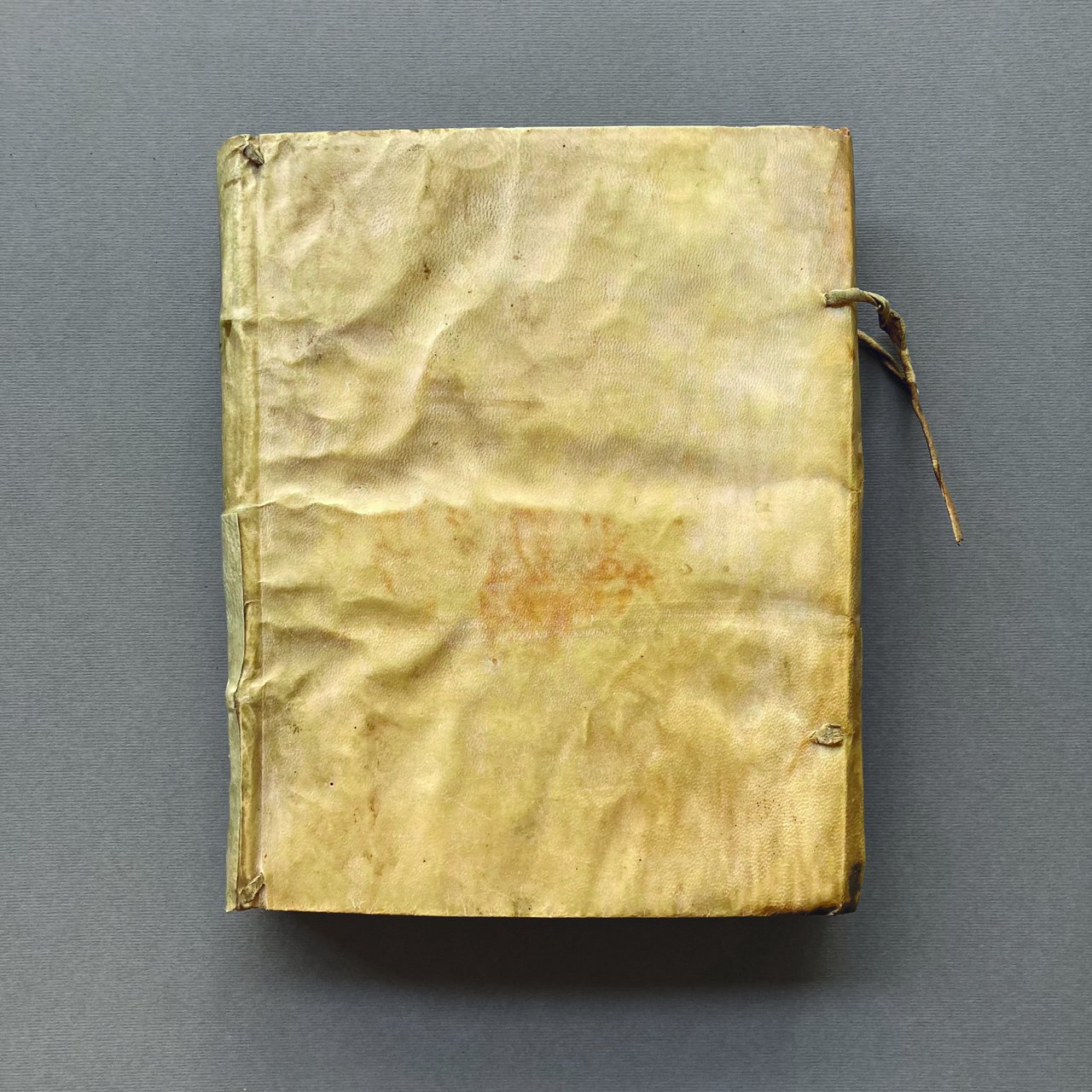 De Vita et rebus gestis Caroli S. R. E. Cardinalis, … | Immagine principale