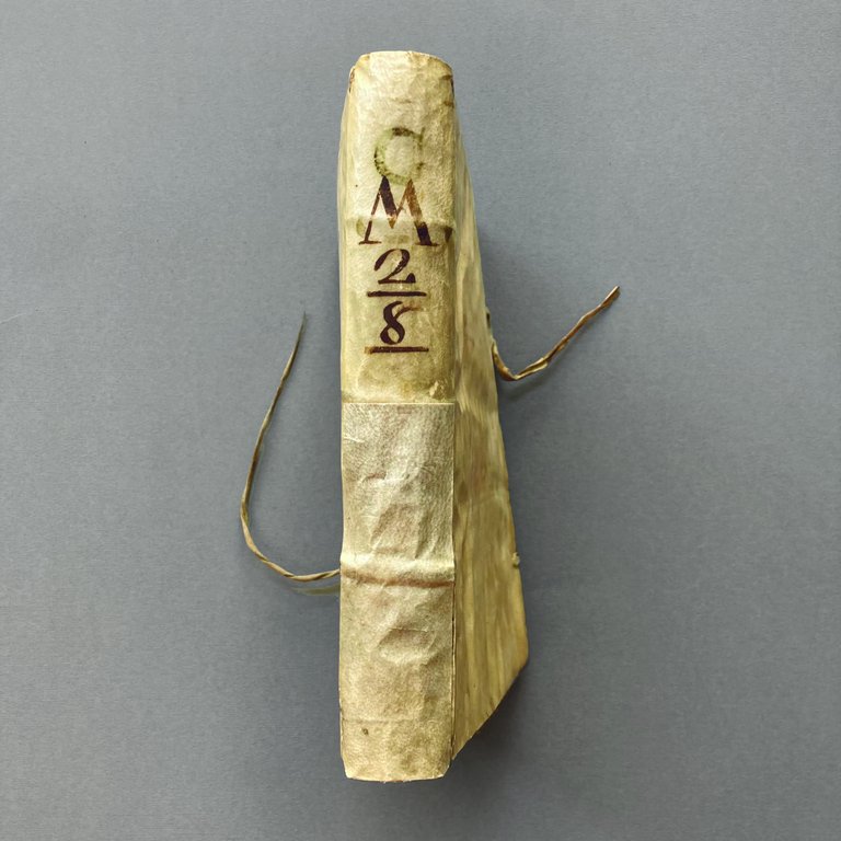 De Vita et rebus gestis Caroli S. R. E. Cardinalis, …