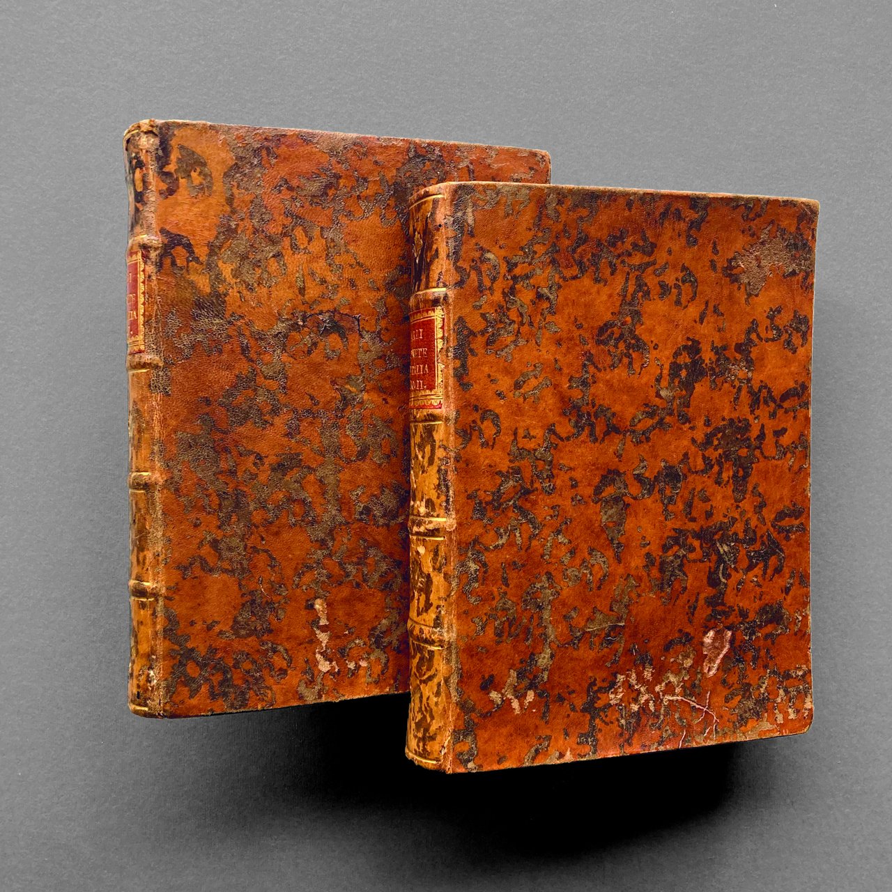 Delle monete e dell'instituzione delle zecche d'Italia dell'antico, e presente …