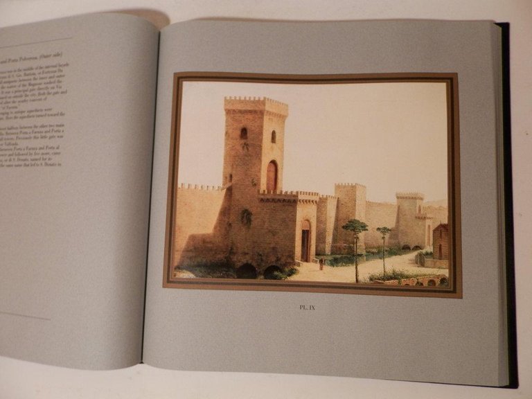 Florence lost ad seen in 120 paintings by Fabio Borbottoni …