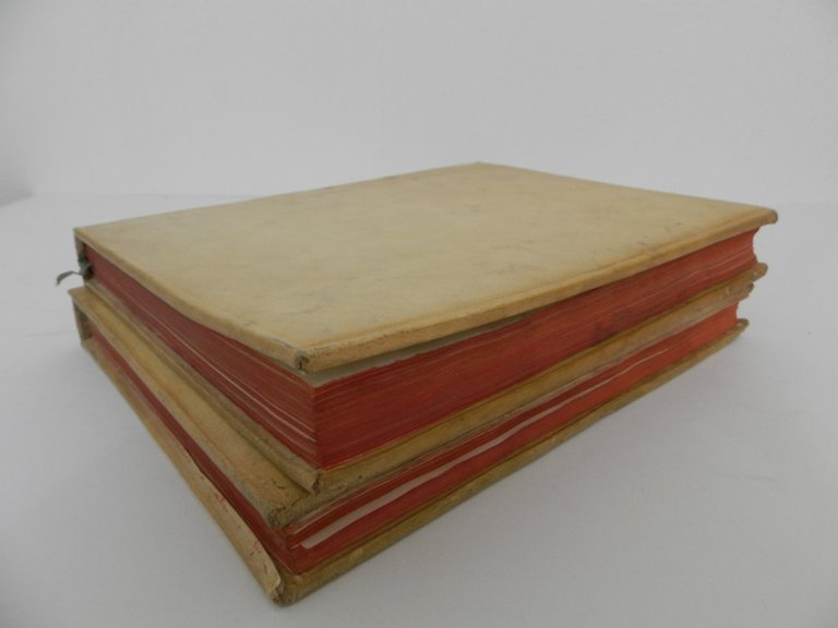 Francisci Cicereii epistolarum libri XII et orationes quatuor. M. Maphaei …