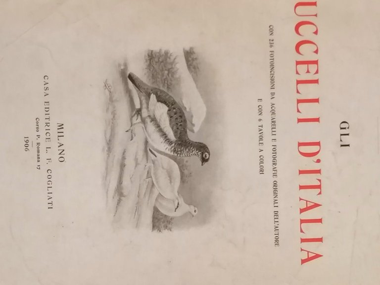 Gli uccelli d'Italia