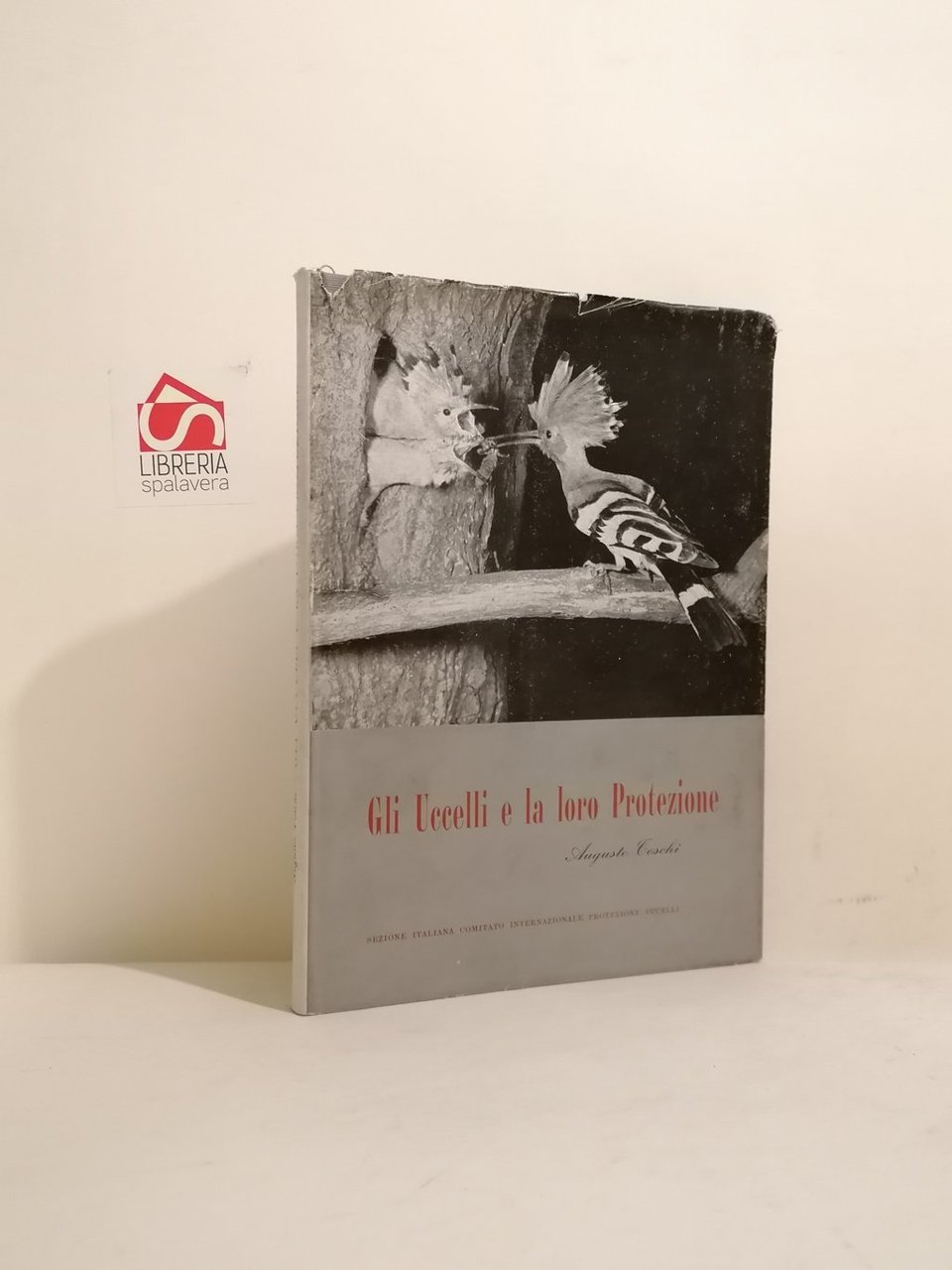 Gli uccelli e la loro protezione