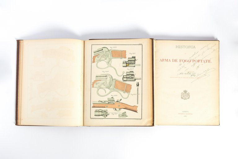 Historia da arma de fogo portatil