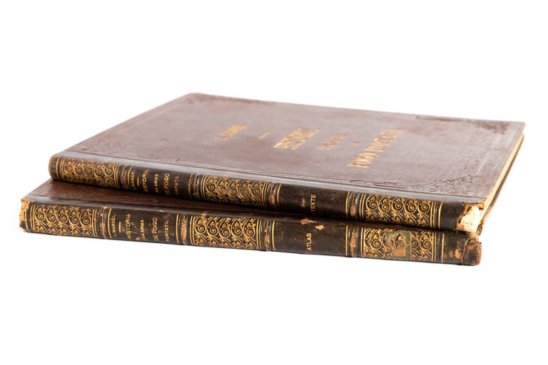 Historia da arma de fogo portatil