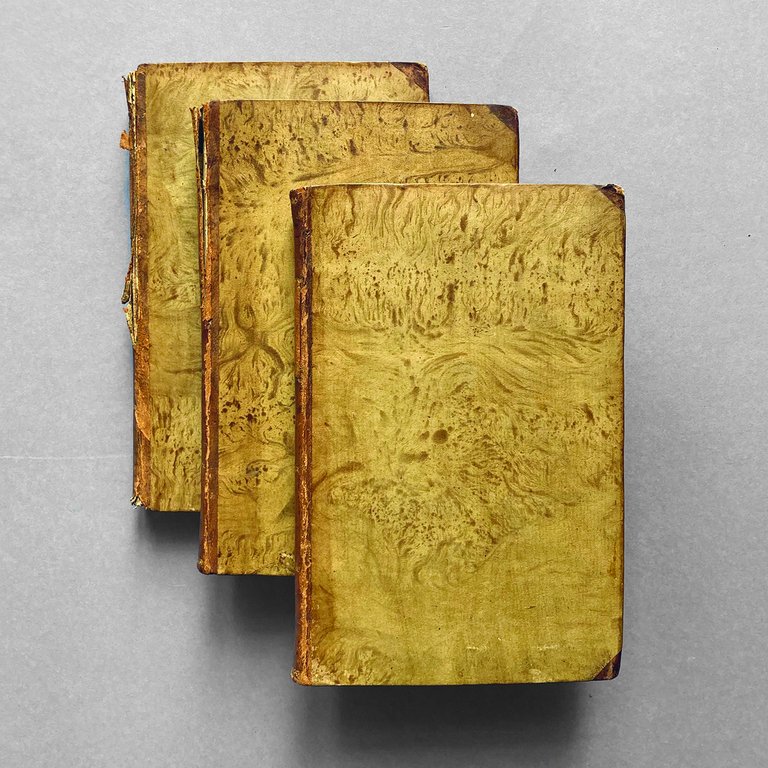 Il paradiso perduto di Giovanni Milton tradotto da Lazzaro Papi