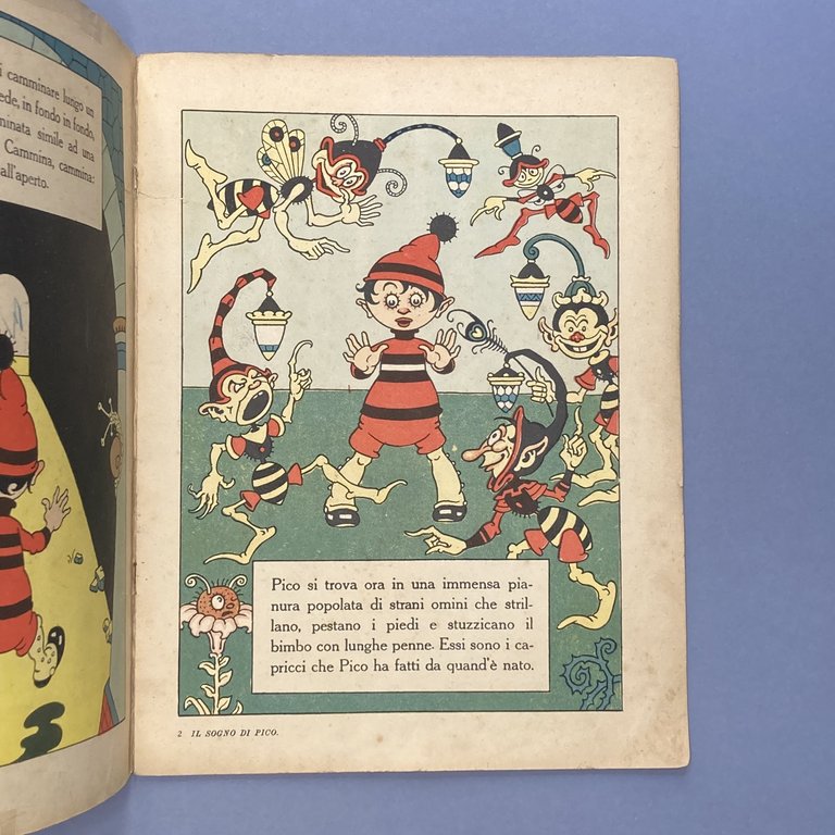 Il sogno di Pico