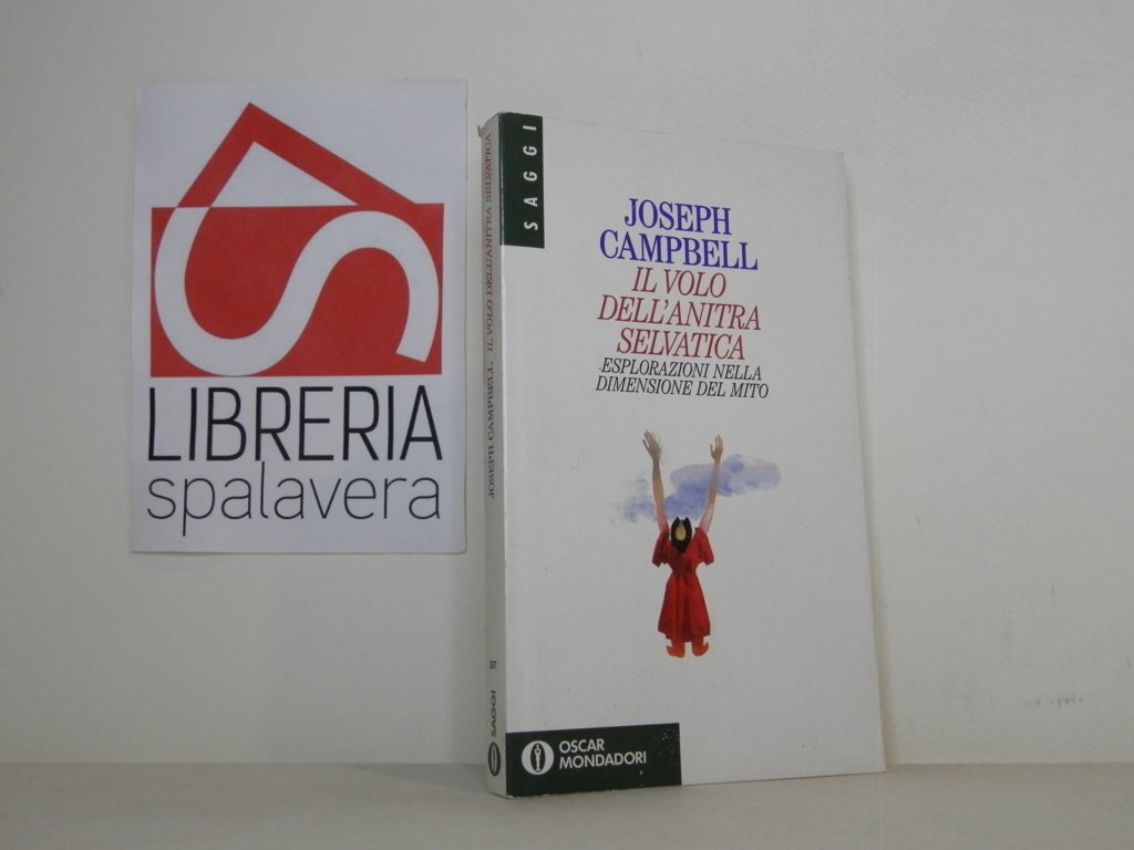 Il volo dell'anitra selvatica