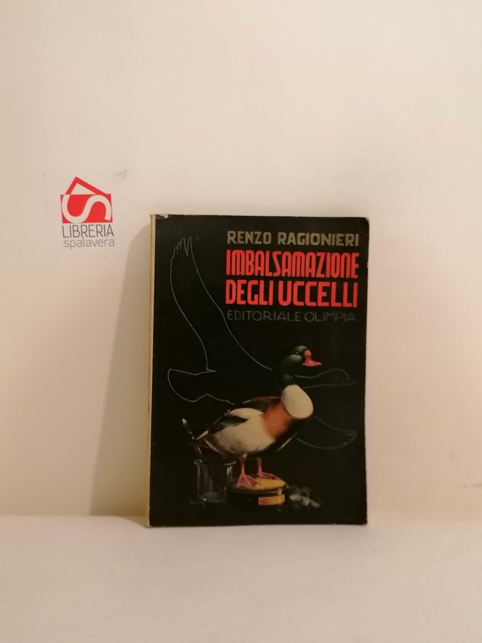 Imbalsamazione degli uccelli