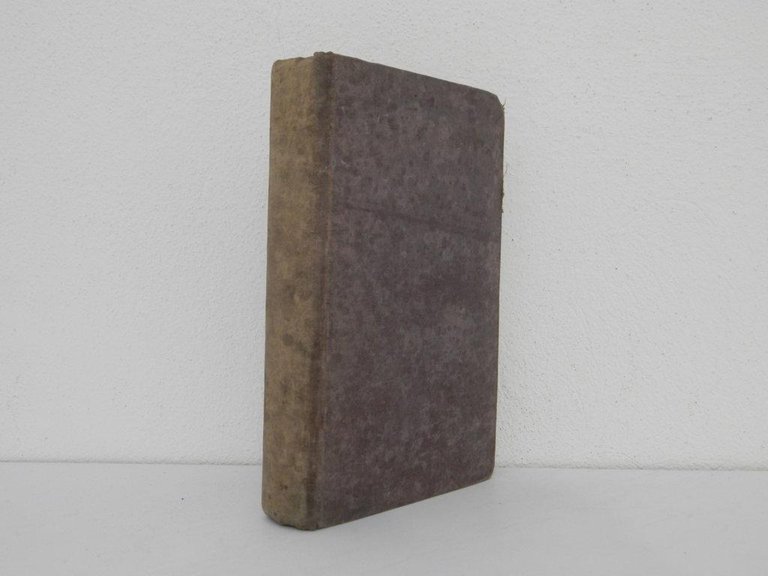 In montagna | Immagine Gallery 1