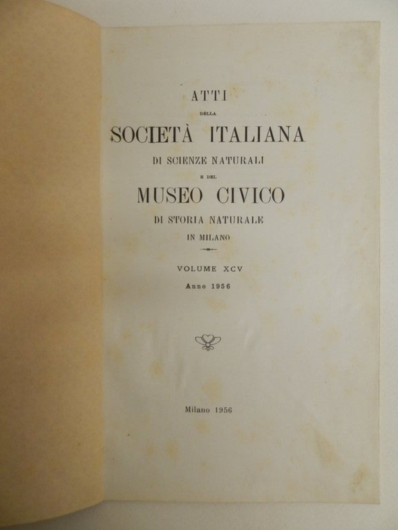 Incisioni preistoriche a Sonico (Valcamonica)