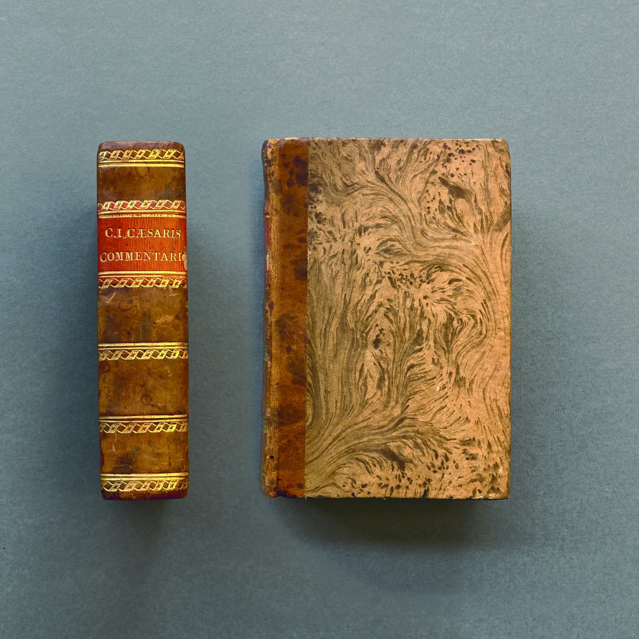 Iulij Caesaris Commentariorum de bello Gallico libri 8.