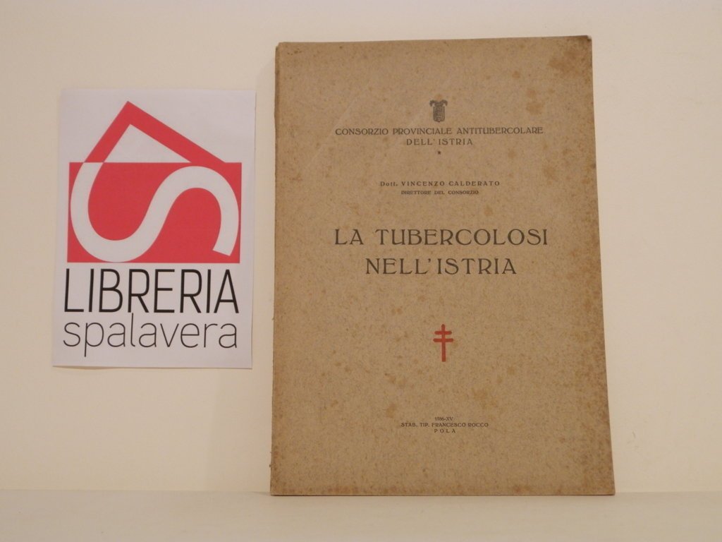 La tubercolosi nell'Istria : Consorzio provinciale antitubercolare dell'istria
