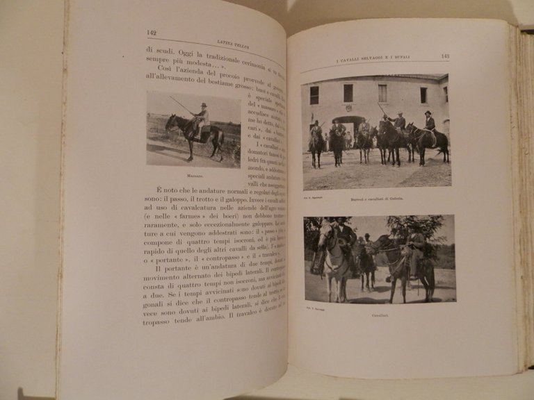 Latina tellus : la campagna romana