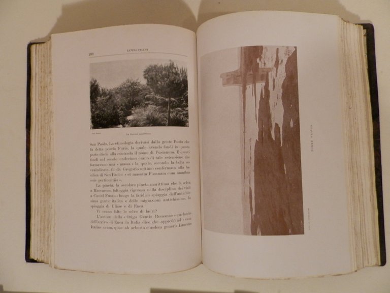 Latina tellus : la campagna romana