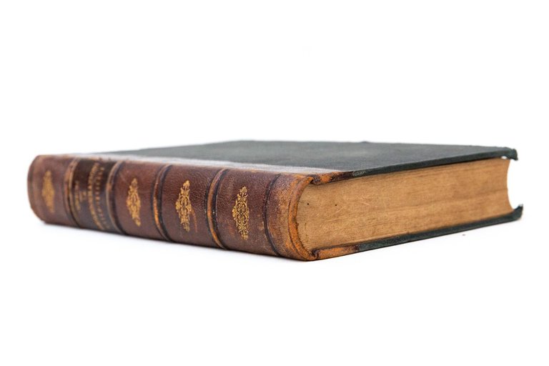 Le degenerazioni psico-sessuali (nella vita degli individui e nella storia …