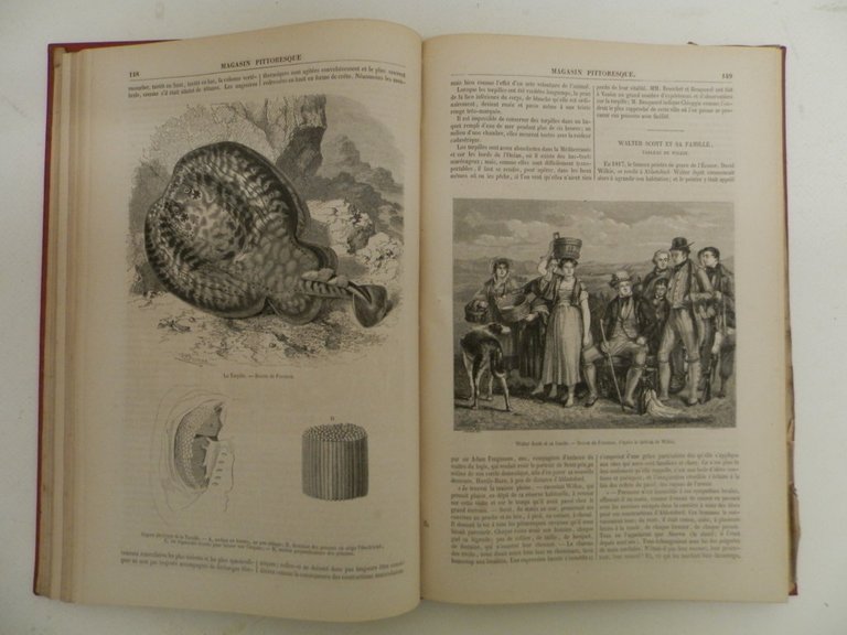 Le Magasin Pittoresque. Publié, depuis sa fondation, sous la direction …