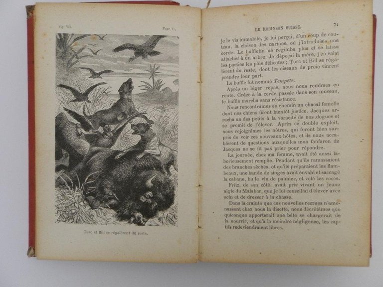 Le Robinson Suisse. Histoire d'une famille suisse naufragée