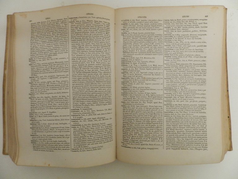 Lexicon Latini Italique Sermonis in usum scholarum, novum in ordinem …
