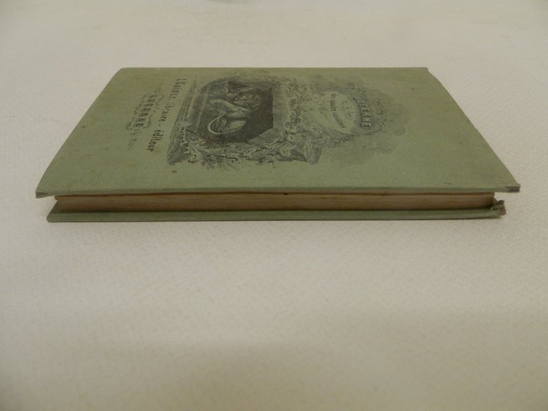 Lucerne et les environs du lac des quatre-cantons. Avec une …