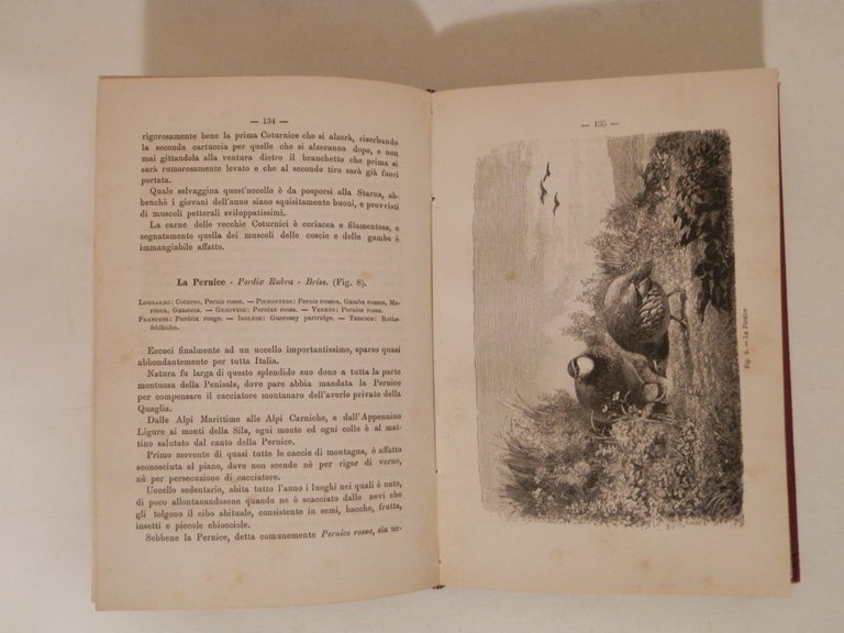 Manuale del cacciatore italiano. La Selvaggina e norme per cacciarla.