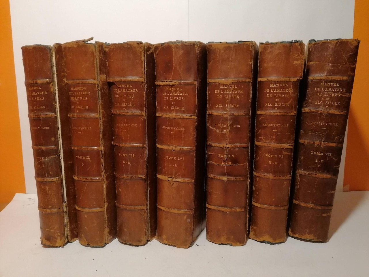 Manuel de l'amateur de livres di XIX^ siècle 1801-1893