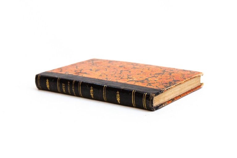 Manuel de l'étudiant magnétiseur, ou Nouvelle instruction pratique sur le …