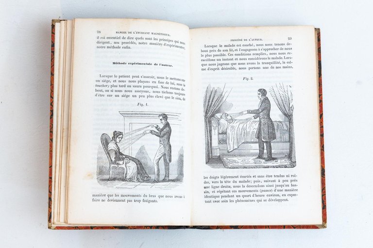 Manuel de l'étudiant magnétiseur, ou Nouvelle instruction pratique sur le …