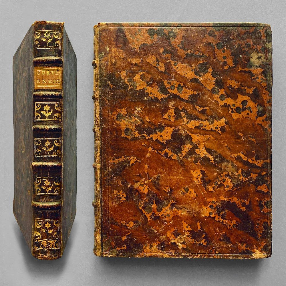 Medicinae compendium, in usum exercitationis domesticae; digestum a Johanne de …
