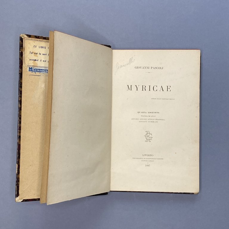 Myricae | Immagine Gallery 2