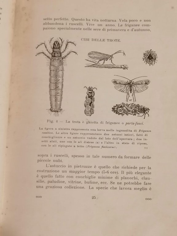 Nel mondo delle trote : vita, costumi e storia della …