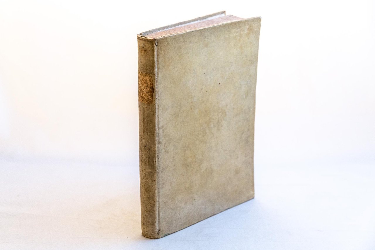 Notizie de' professori del disegno da Cimabue in qua, che …