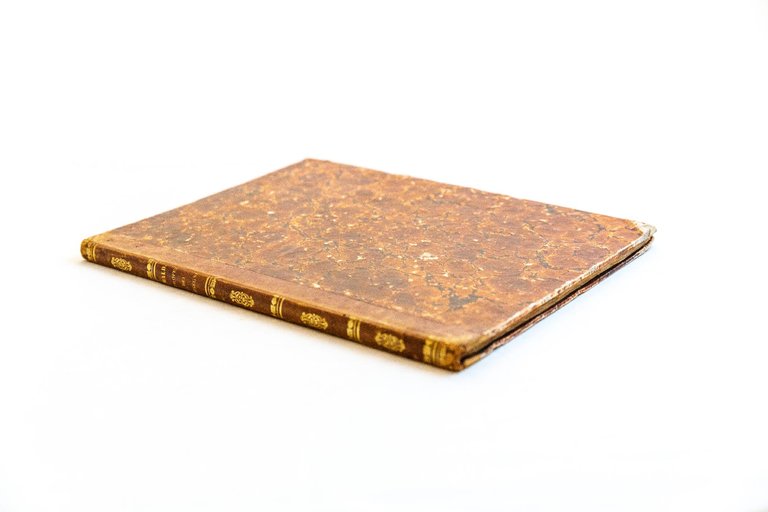 Notizie de' professori del disegno da Cimabue in qua, per …