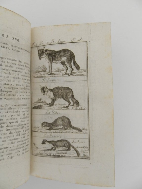 Nozioni elementari di storia animale per le donne di Gianbattista …