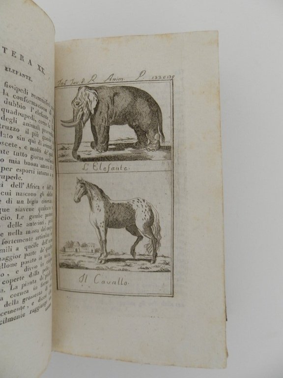 Nozioni elementari di storia animale per le donne di Gianbattista …