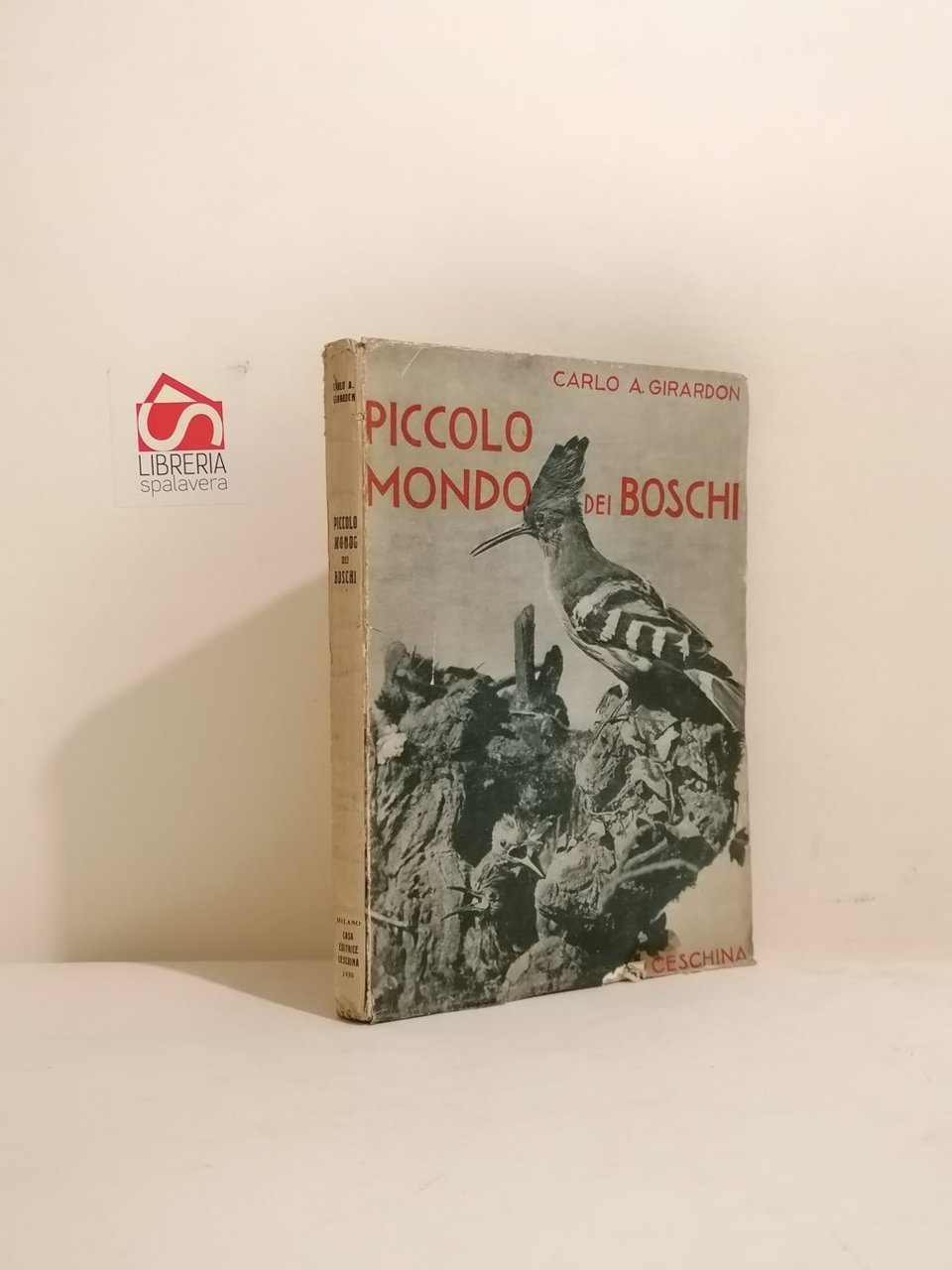 Piccolo mondo dei boschi