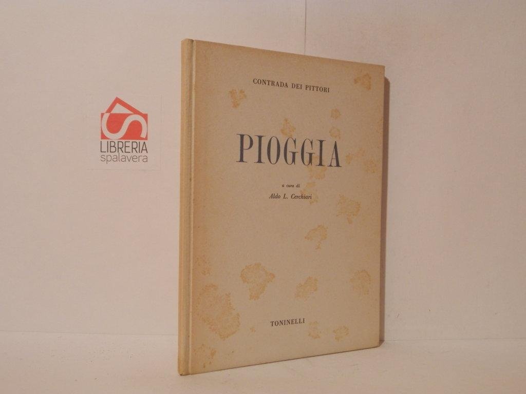 Pioggia. Contrada dei pittori