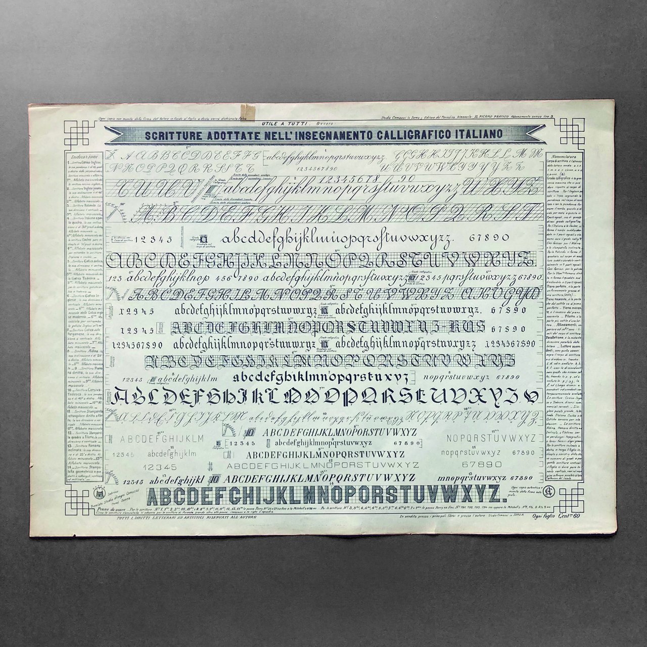 Scritture adottate nell'insegnamento calligrafico italiano.