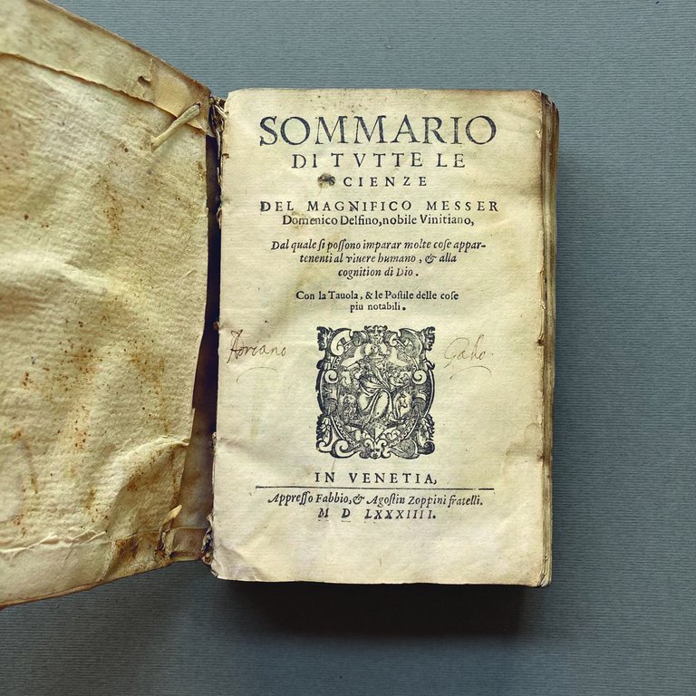 Sommario di tutte le scienze del magnifico messer Domenico Delfino, …