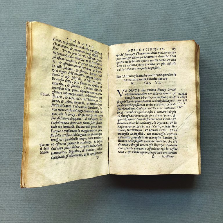 Sommario di tutte le scienze del magnifico messer Domenico Delfino, …