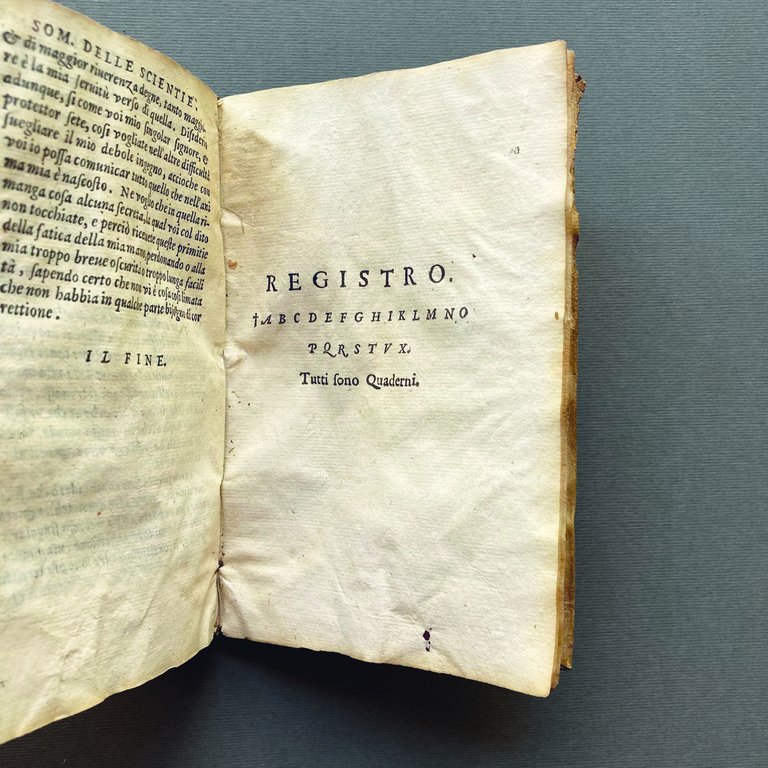 Sommario di tutte le scienze del magnifico messer Domenico Delfino, …