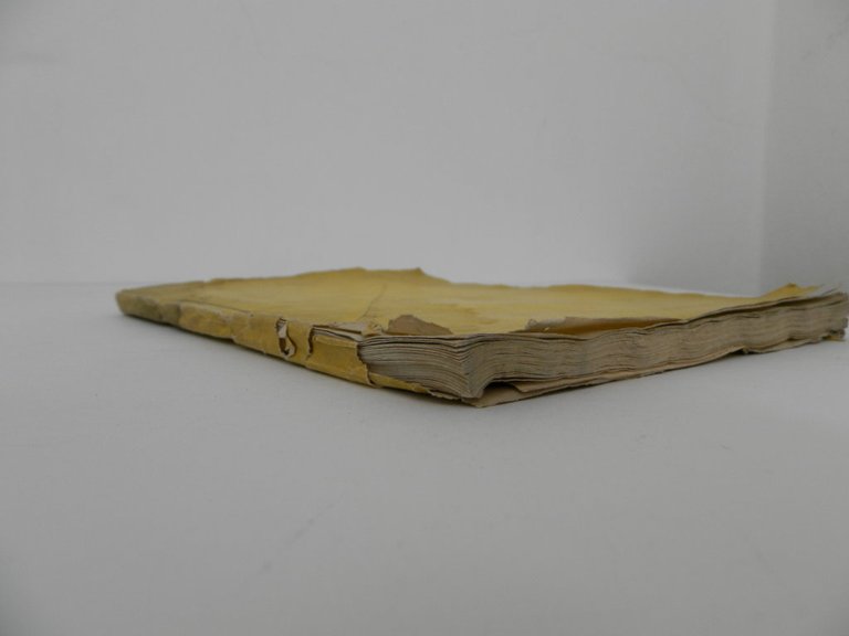 Sommario nella causa di prima instanza vertente nanti l'Ecc. R. …