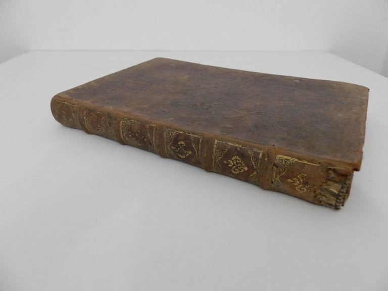 Statuti de la corte de mercadanti di Lucca.