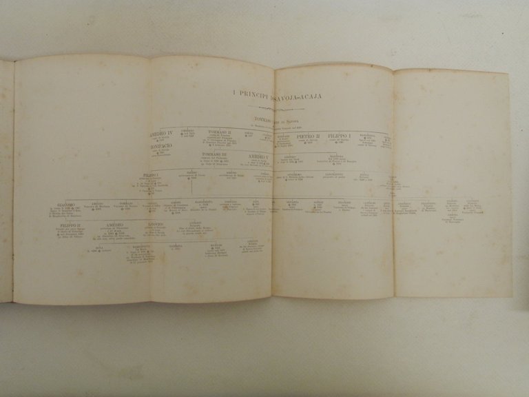 Storia della città di Pinerolo