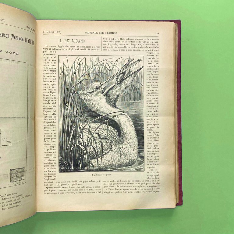 Storia di un burattino. Avventure di Pinocchio. Giornale per bambini.