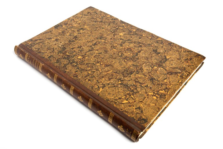 Storia naturale delle scimie e dei maki, disposta con ordine … | Immagine Gallery 1