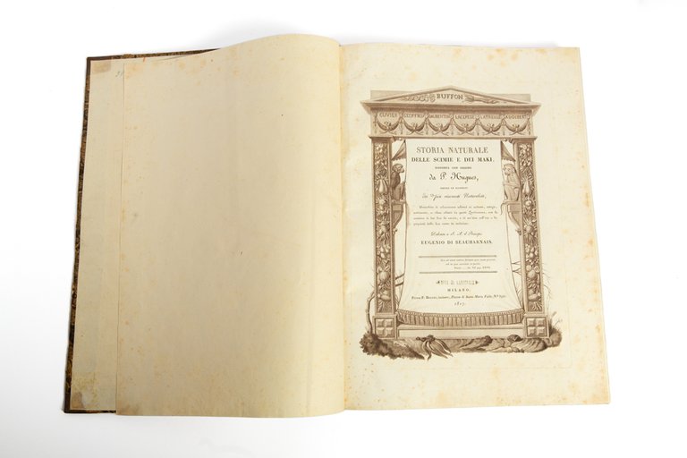 Storia naturale delle scimie e dei maki, disposta con ordine …