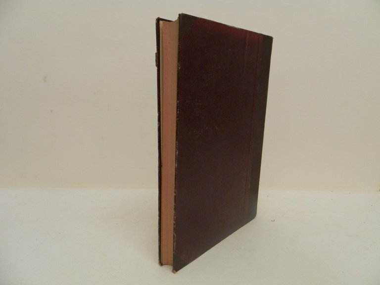 Viaggi d'un artista nell'America Meridionale. I Caduvei (Mbaya o Guaycuru), …